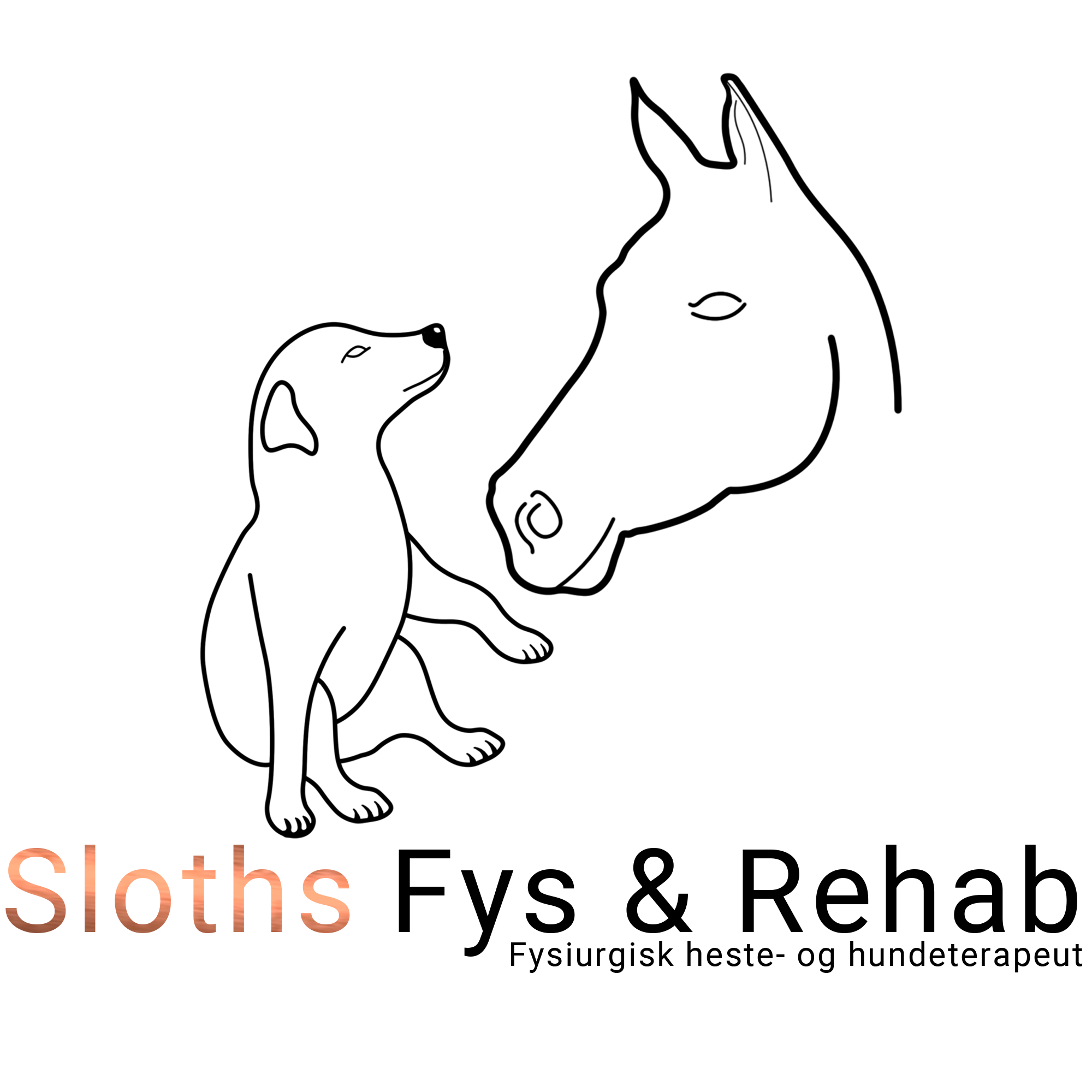 Sloths Fys & Rehab ApS CVR: 43904027